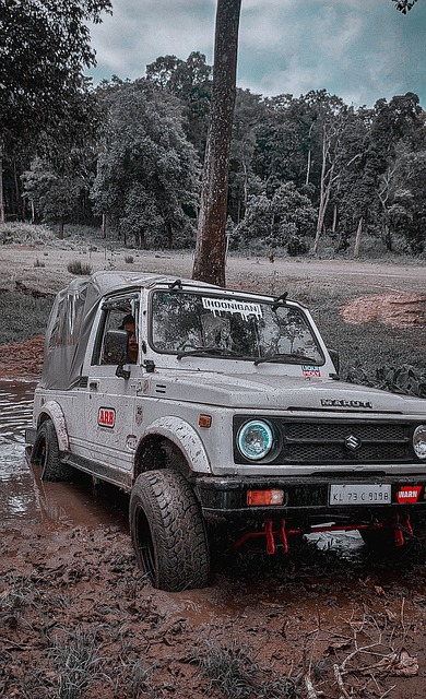 开始倾向于 开始倾向于