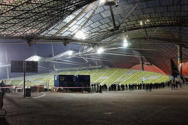 费莱尼已成 费莱尼已成